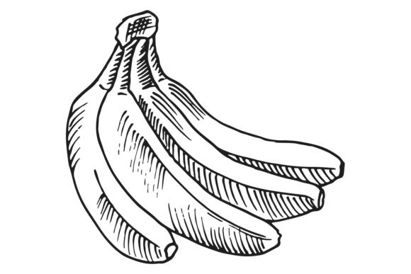 Download Banana Bunch Sketch. Hand Drawn Tropical - Raw Collection