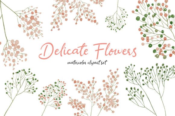 Download Delicate Flowers Hand-drawn Flower Set - Raw Collection