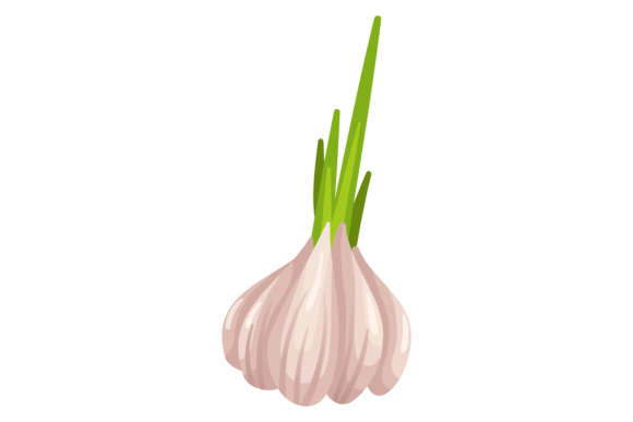 Download Garlic Icon. Raw Vegetable. Cartoon Natu - Raw Collection