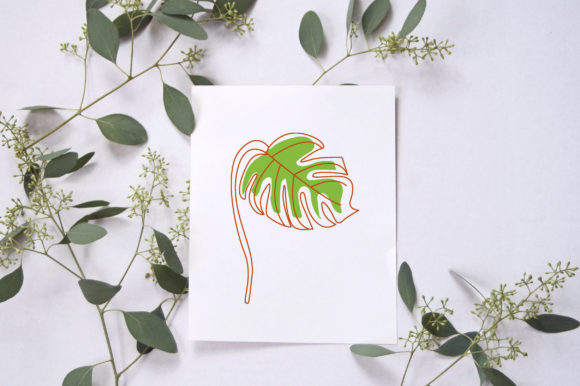 Download One Single Line Drawing Monstera Leaf - Raw Collection