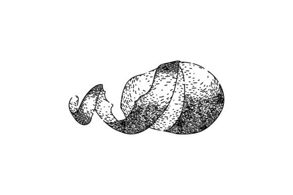 Download Raw Potato Fresh Sketch Hand Drawn Vecto - Raw Collection